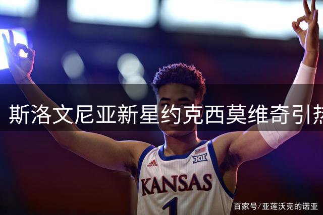 斯洛文尼亚新星约克西莫维奇引热议 国际篮联看好其领袖潜质