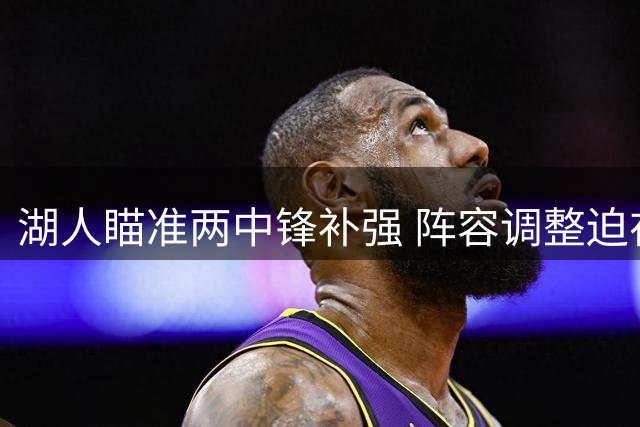 湖人瞄准两中锋补强 阵容调整迫在眉睫